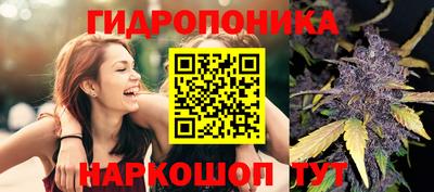 наркотики Камышлов