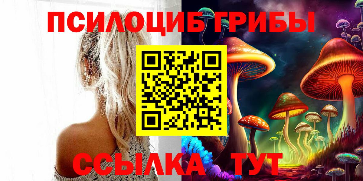 Псилоцибиновые грибы прущие грибы Зима