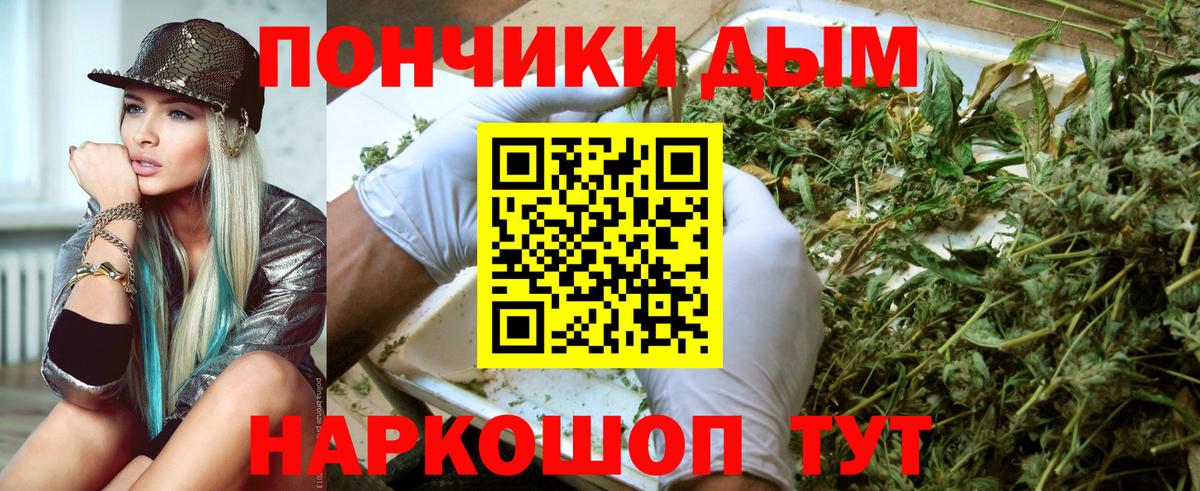 Бошки марихуана Amnesia Зима